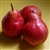 Pears, Bartlett, Red - 3/order