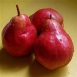 Pears, Bartlett, Red - 3/order