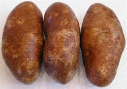 Potatoes, Russet Idaho, Organic ~ 2 lbs