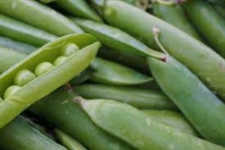 English Peas (in pod) ~ 1lb