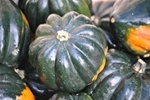 Squash, Acorn (medium) - 1 ~  1.5 to 2 lbs