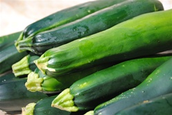 Squash, Zucchini ~ 1 lb