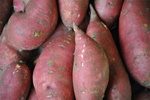 Sweet Potatoes, Covington ~ 2 lbs