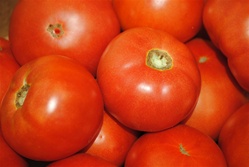 Tomatoes, Slicing, Red (2/order)