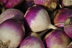 Turnips, Purple Top (no tops) ~ 1.5 lbs