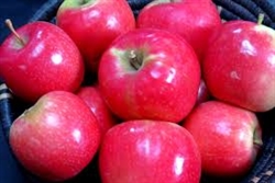Apples, Pink Lady ~ 1.5 lbs
