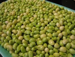 White Acre Cream Peas - SHELLED ~ 1 pint