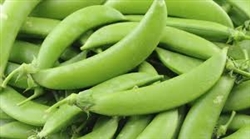 Sugar Snap Peas ~ 1 pint