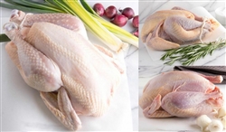 Joyce "Naked Bird" Chicken (whole) ~ 3.5 - 4lbs