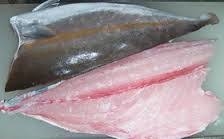 FROZEN Wild Caught Amberjack Fillet ~ 2/pack ~ 11 - 13 oz