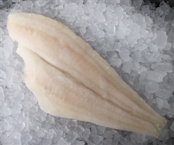 FROZEN Flounder Fish Fillets (skinless) - 2/pack ~ 11 - 13 oz