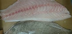 FROZEN Wild Caught Snowy Grouper Fish Fillet (2/pack) ~ 11 to 13 oz