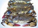 FROZEN Softshell Crabs, Cleaned (4/pack)