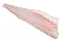 FRESH Wild Caught Speckled Sea Trout Fillet ~ 1 lb