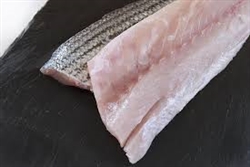 FROZEN Wild Caught Striped Sea Bass Fillet (skin-on) - 2/pack ~ 11 to 13 oz