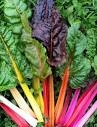 Rainbow Chard, Organic - 1 bunch