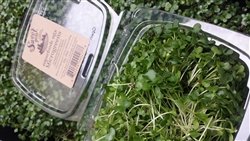 Superfoods Mix Microgreens ~ 2 oz clamshell