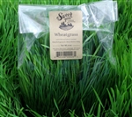 Wheatgrass Microgreens (large) ~ 8 oz bag
