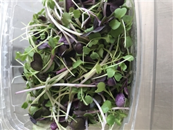 Zesty Heart Healthy Microgreens ~ 2 oz