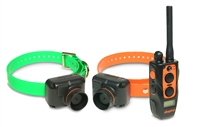 DOGTRA 2702T&B Training & Beeper Collar