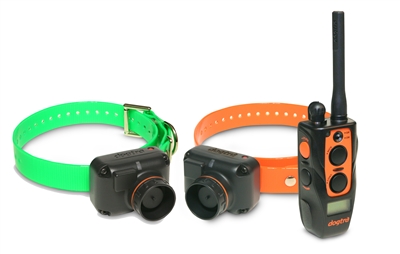 DOGTRA 2702T&B Training & Beeper Collar