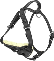 Active Dogs Padded Leather Harness - Black