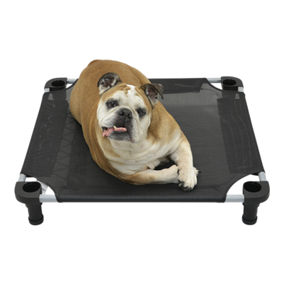 4 Legs 4 Pets  22" x 22" x 5" Small Premium Square Elevated Dog Bed Cot