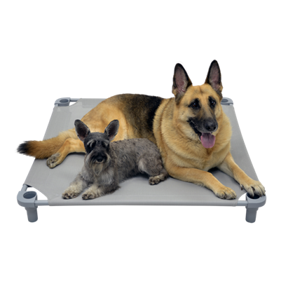 4 Legs 4 Pets  22" x 22" x 5" Small Premium Square Elevated Dog Bed Cot