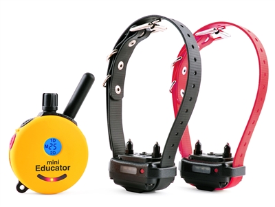 E-Collar 2 Dog Mini Educator 1/2 Mile Remote Dog Trainer
