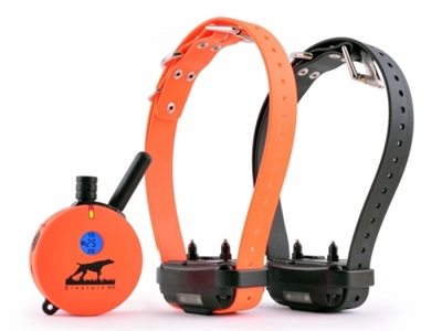 E-Collar 2 Dog 1 Mile Plus Upland Hunting Dog Remote Trainer