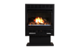 Buckstove Model 1127 Gas Stove