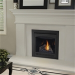 Napoleon B30 Direct Vent Gas Fireplace Ascent Series