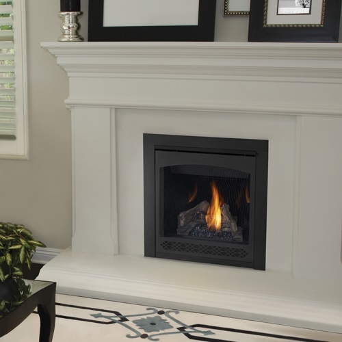 Napoleon B30 Direct Vent Gas Fireplace Ascent Series