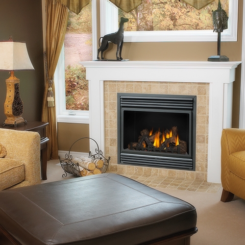 Napoleon BGD36 Direct Vent Fireplace