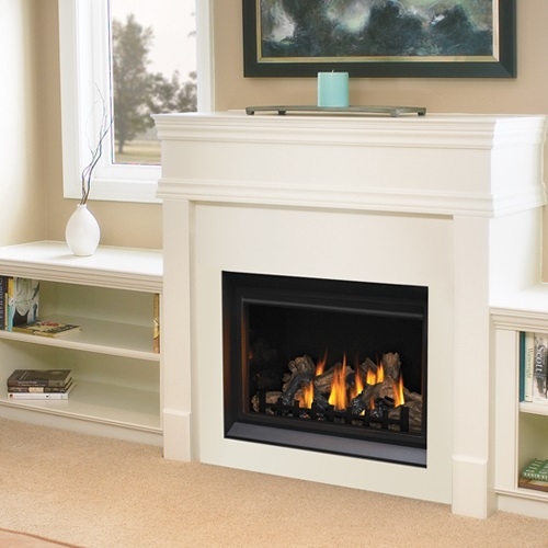 Napoleon BGD36CFNTR Direct Vent Gas Fireplace