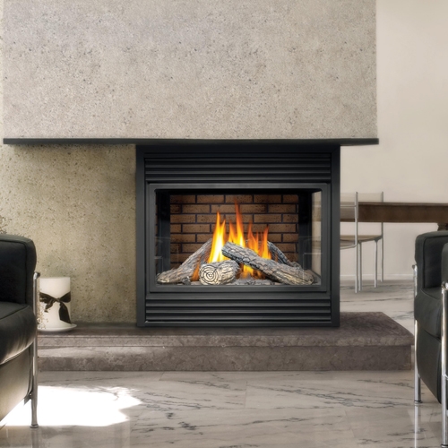 Napoleon BGD40 Direct Vent Gas Fireplace