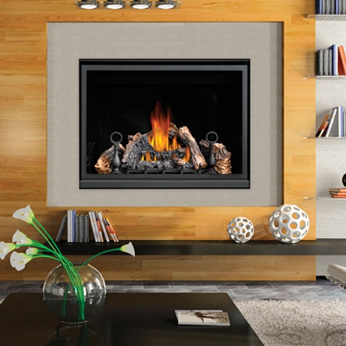 Napoleon HD46, Napoleon HD46 Gas Fireplace, Napoleon HD46 Direct Vent Gas Fireplace, HD46 Gas Fireplace, Napoleon HD46 Direct Vent Gas Fireplace Clean Face HD Series