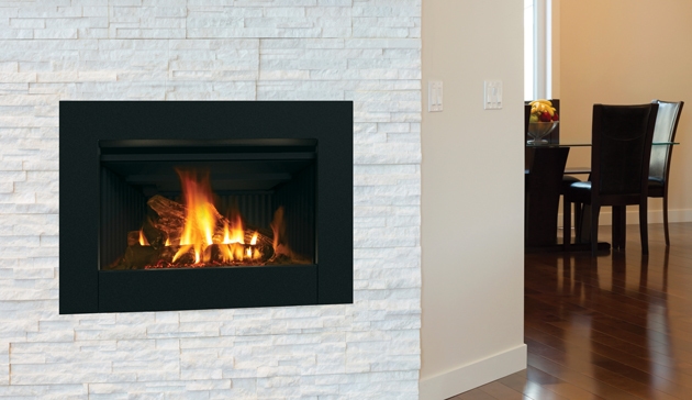 Superior Gas Fireplace Insert DRI2530