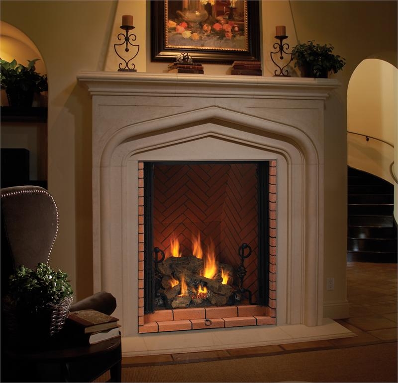 Vantage Hearth Direct Vent Gas Fireplace Premium Luxury