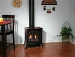 White Mountain Hearth by Empire Direct Vent Steel Gas Stove Spirit DVP20MS (Small)