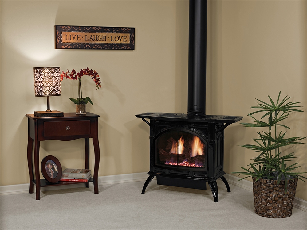 White Mountain Hearth by Empire Direct Vent Cast Iron Gas Stove DVP30 (Medium)