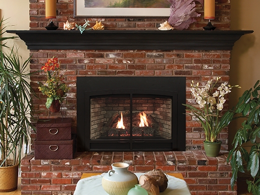White Mountain Hearth by Empire Direct Vent Gas Fireplace Insert Insbrook