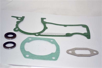 COMPLETE GASKET SET WITH SEALS, REPLACES PART # 503647201
