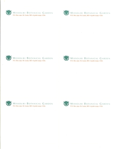 Address Label 4" x 3-1/3" - Box of 100 Sheets (6 labels per sheet)