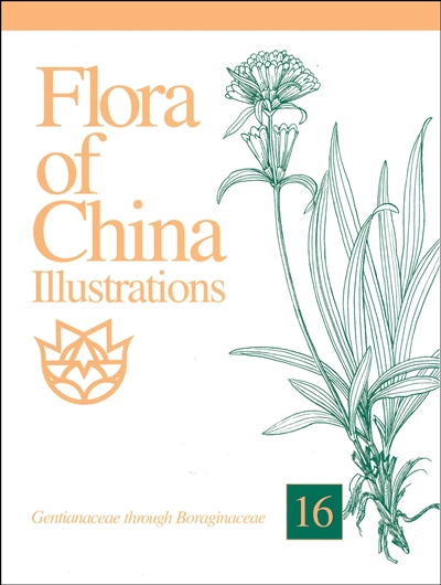 Flora of China Illustrations, Volume 16: Gentianaceae through Boraginaceae