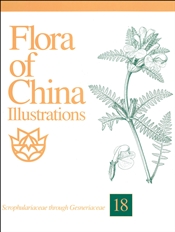 Flora of China Illustrations, Volume 18: Scrophulariaceae through Gesneriaceae