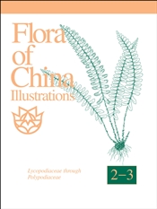 Flora of China Illustrations, Volume 2-3: Polypodiaceae through Lycopodiaceae