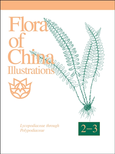 Flora of China Illustrations, Volume 2-3: Polypodiaceae through Lycopodiaceae