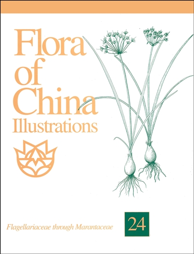Flora of China Illustrations, Volume 24: Flagellariaceae through Marantaceae
