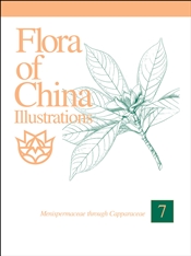 Flora of China Illustrations, Volume 7: Menispermaceae through Capparaceae